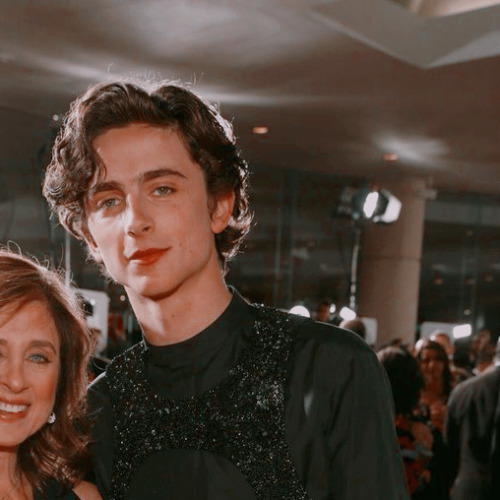 timothée chalamet at the golden globes 2019 icons if it wasn’t it obvious, he deserved to win.like o