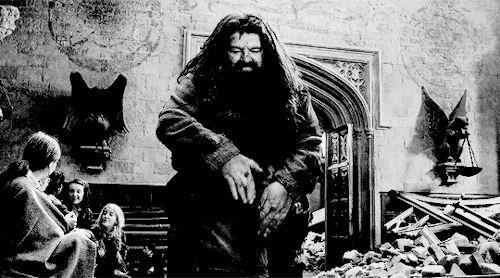 wizardrynet:Wizardrynet’s Advent Calendar: Day SixHappy Birthday Rubeus Hagrid (born. 6th of Decembe