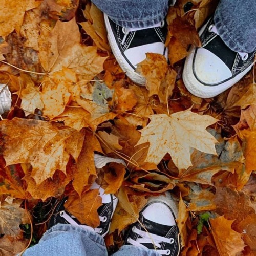 Aki's My Favorite Boy And Autumn Is My Fav Season. What Are The Odds
