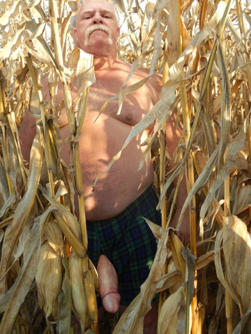 lovemanmusk: Fuck The children of the corn I want the daddy of the corn Wow I’d love to come a