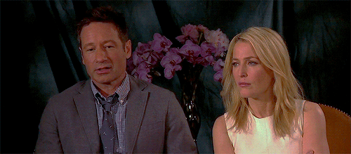 thexfiles:David Duchovny: Watching [Gillian] grow - I’m not being condescending - but like, watching
