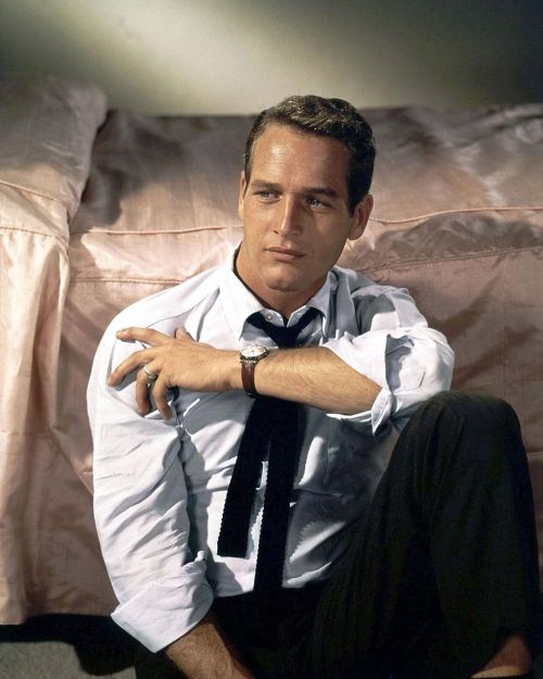 beyond-the-pale: Paul Newman - Cat on a Hot Tin Roof, 1958