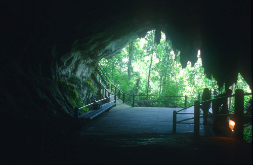 itsallaboutthepentiums:Wind Cave National Park - South Dakota((Disclaimer: Photos are not mine, unle