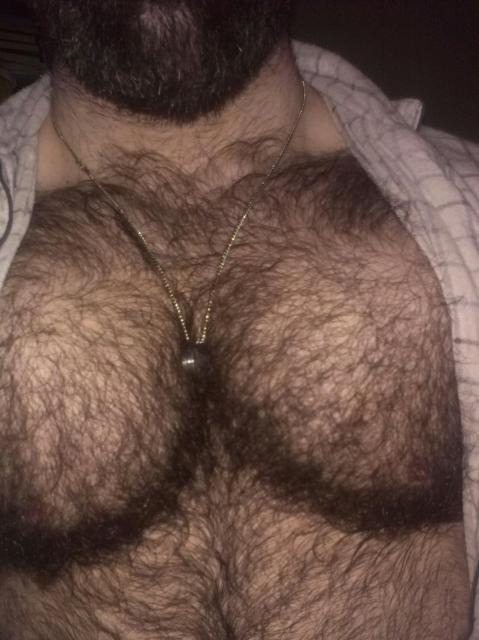 furrytrade:Follow both of my blogs @ http://furrytrade.tumblr.com/ & http://dirtyrabbithole.tumblr.com  give me a hairy fucker any time…. 