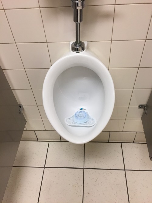 dareme684: Pics from my first Urinal Licking Challenge. This one was at Target.  I’d lick