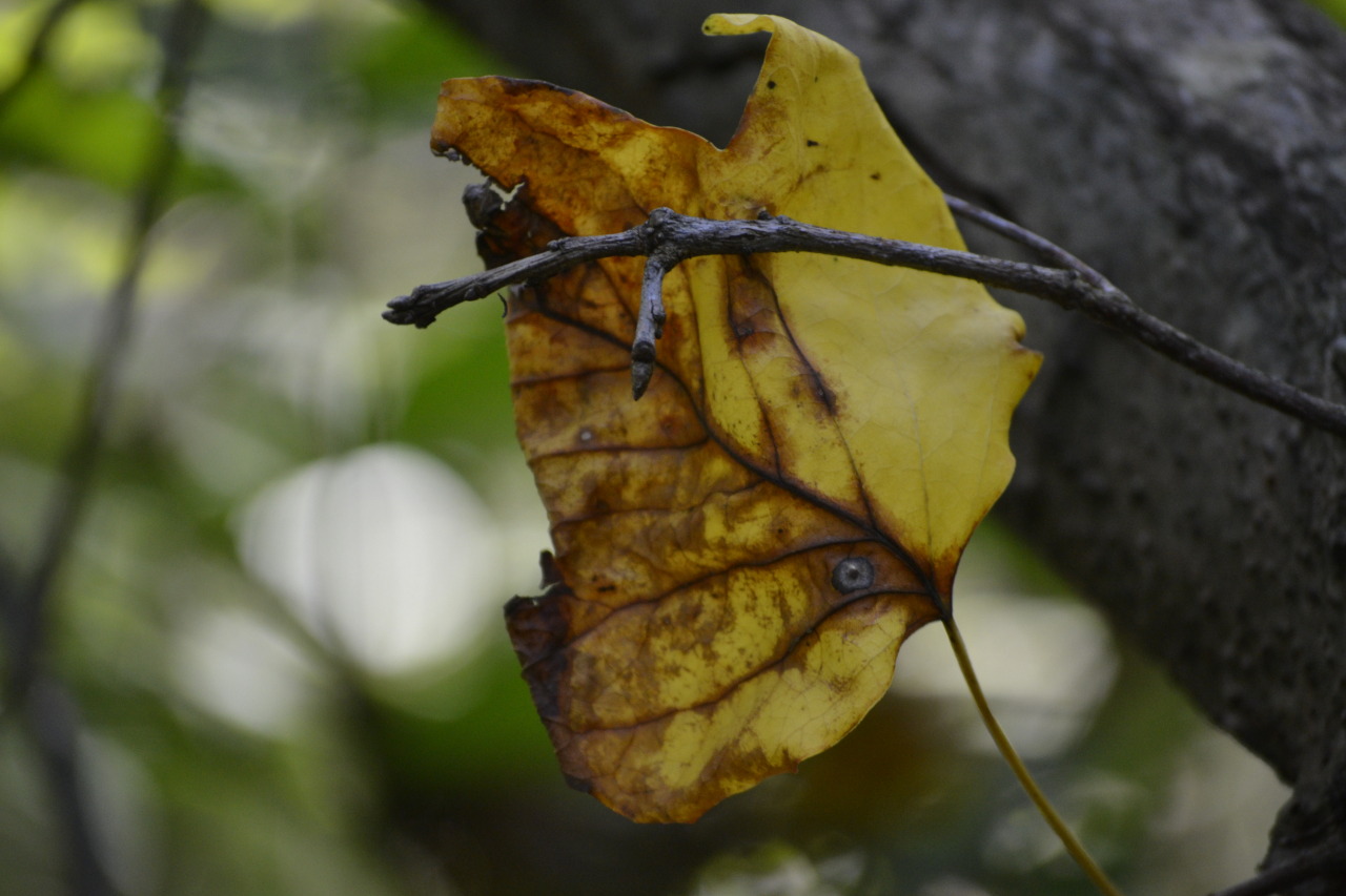 Tumblr Photo