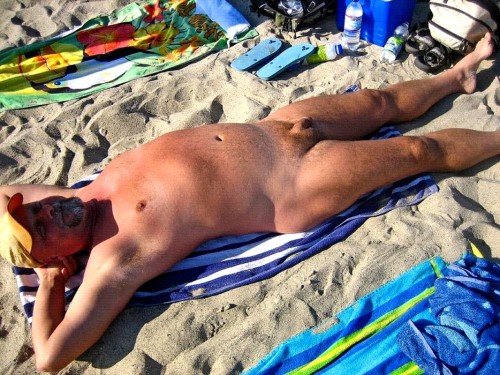 beargaga:Daddy on the beach …