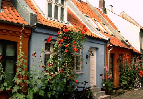 cityhoppersgarden:Old part of town, Aarhus 2010,  Denmarkphotography by cityhopper2