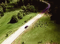 bottomdiluc:  Impala + season one scenery. 