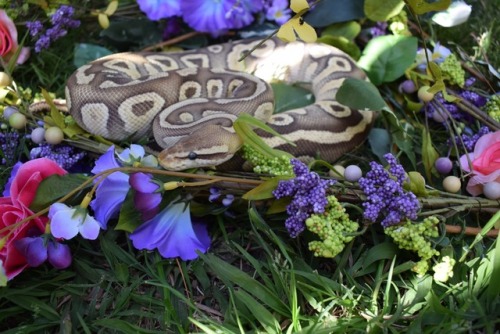 flower child!