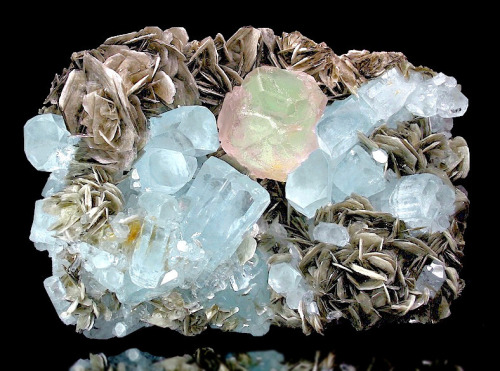 mineralists:Both of our jaws dropped when we saw this… look how stunning it is!!Gorgeous plate of Be