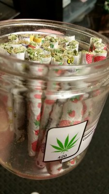 banana-jo:  Freshly rolled doobies