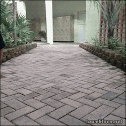 the-absolute-best-gifs: So romantic
