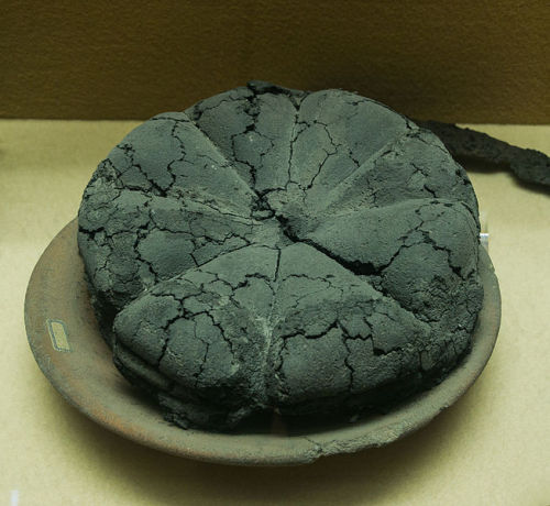 worldhistoryfacts:Bread from Pompeii, carbonized by the volcanic eruption in 79 CE.