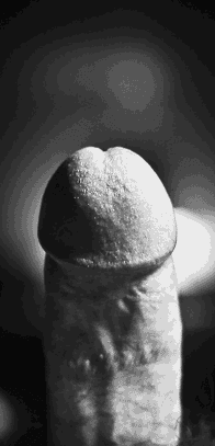 double-dose-sex:    