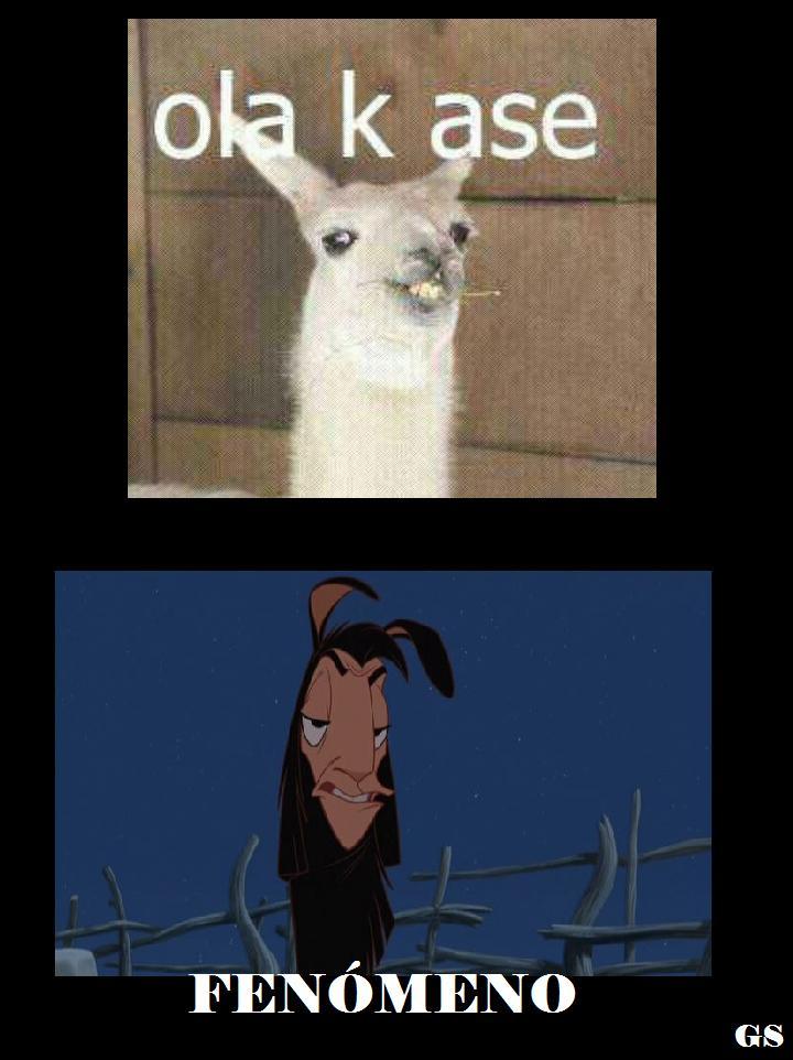 gabs-sam:  xD