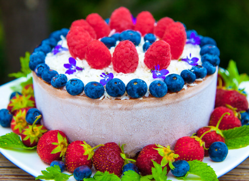 Olenko’s Raw Vegan Happy 4th of July Cake Happy Independence Day America! I made this deliciou