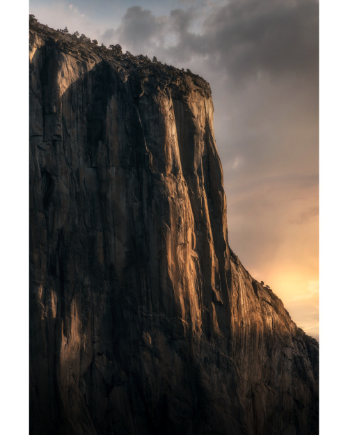 Portrait of El Capitan.Yosemite Valley, 2020www.nealmcclure.com