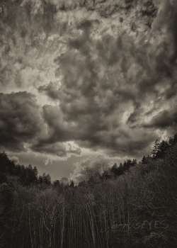 &ldquo;Stormy Monday&rdquo; Smoky Mountains-jerrysEYES