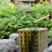 thequietgoodlife:  
