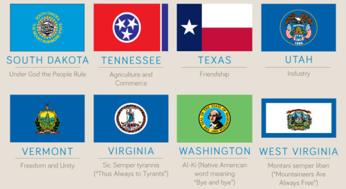 50 flags of the United States