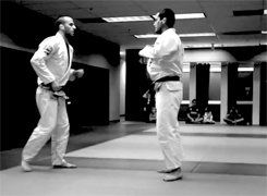 kellymagovern:  Dave Camarillo gif set #2 - Judo &amp; BJJ techniques [Video