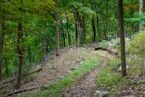 Long Path, Tallman Mountain State Park, New York