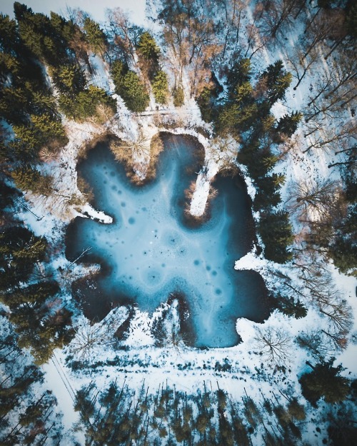 colorogasm:things look stranger from upside downPhoto by Erwin Doorn 