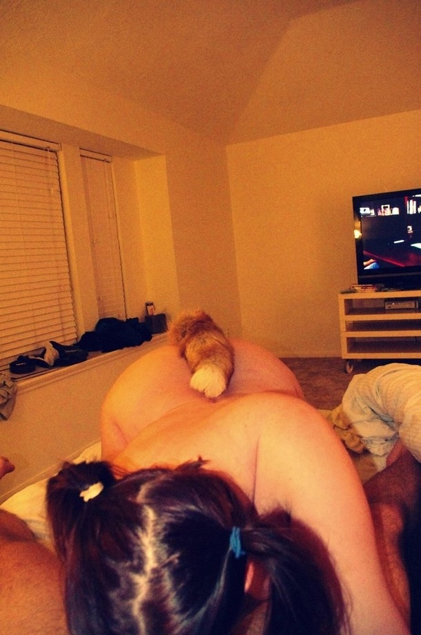foxy-pyro:  So a while ago I made a video with myself and my tail. And ive decuded
