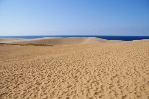 Tottori Sand Dunes (鳥取砂丘)Located near the city of Tottori in Tottori Prefecture.Around 2 million peo
