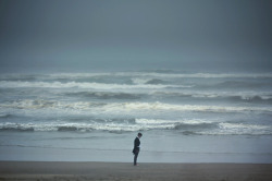 foxmouth:  Portraits, 2013 | Elizabeth Gadd