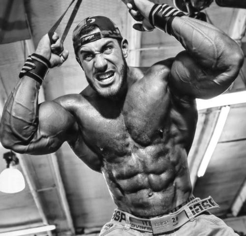 richmza:  Antoine Vaillant  