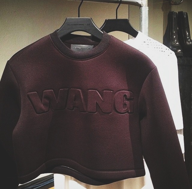 messgala:  🔺Alexander Wang🔻