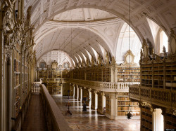 phoebebishopwright:  The library at Mafra