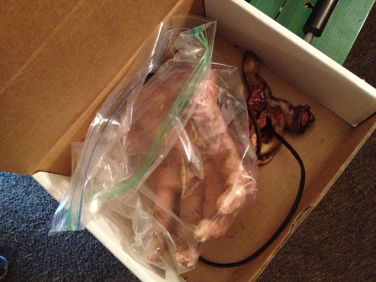 carol-on:  Photo collection from when I toured Greg Nicotero’s offices and workshop