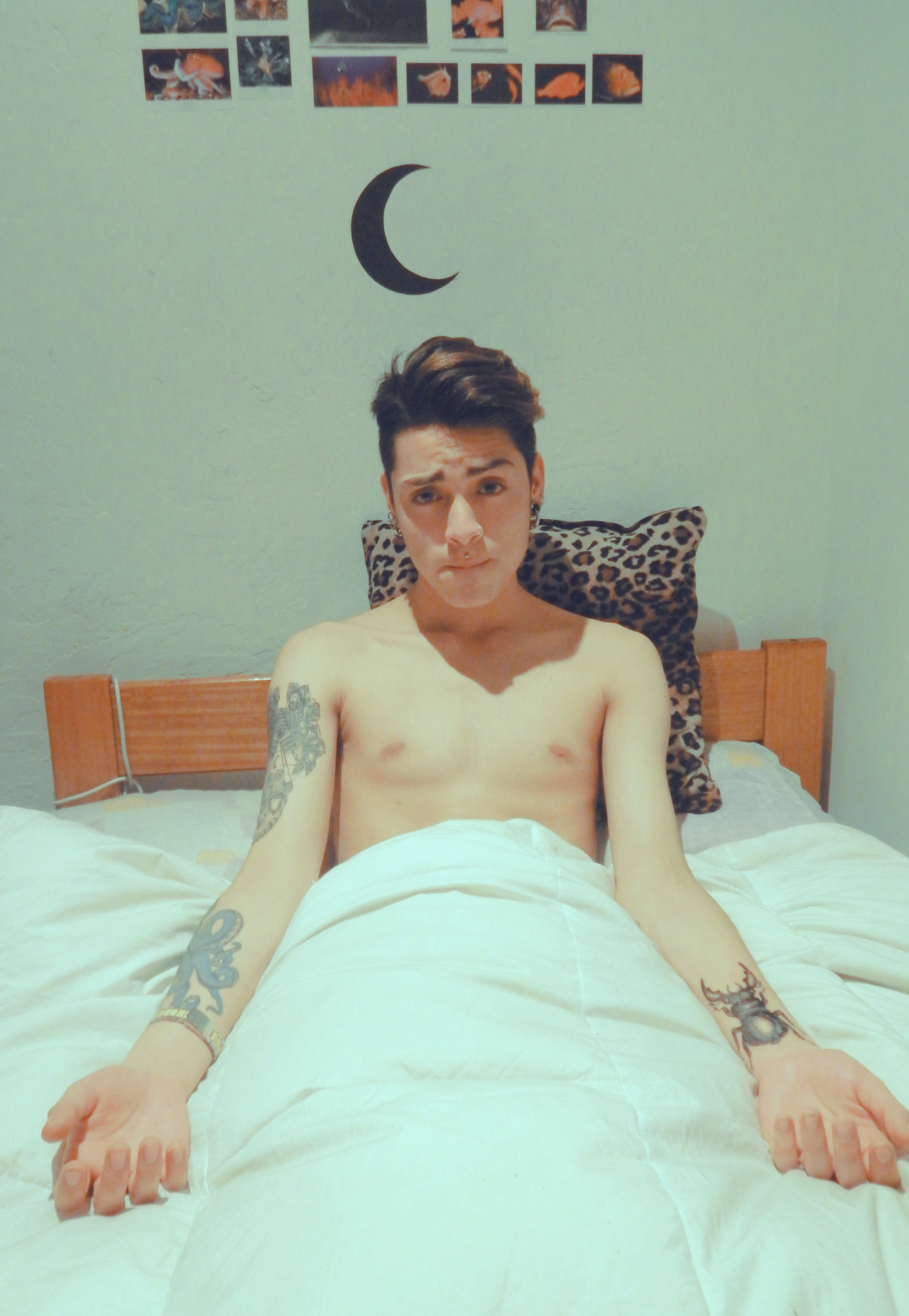nickbolt:  Nick Bolt