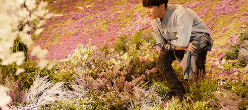 BTS Stay Gold Feels Like Heaven