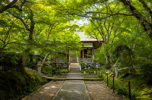 ileftmyheartintokyo:September (Jyoujyakkou-ji temple, Kyoto) by Marser on Flickr.