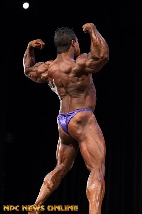 ultrawingedcollectorwolf: Chris Santamaria