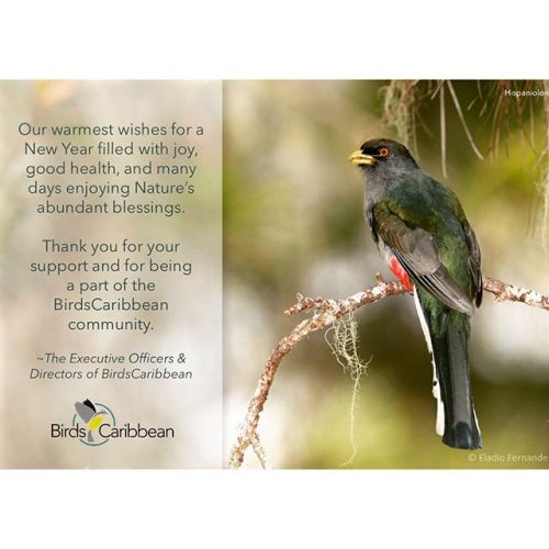 Happy New Year ! Via @BirdsCaribbean Go: BIRDS CARIBBEAN “Warmest wishes to all for a happy, healthy