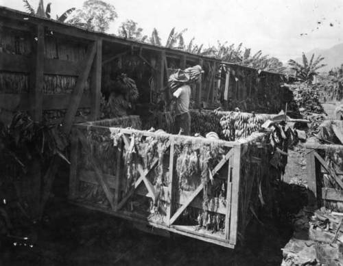 workingclasshistory:On this day, 4 January 1932, martial law was declared in Honduras, to quell a re