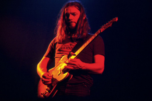 more-relics:David Gilmour