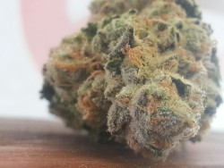 indica-lungs:  Grand Fire OG, this is what