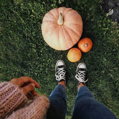 pumpkin carving