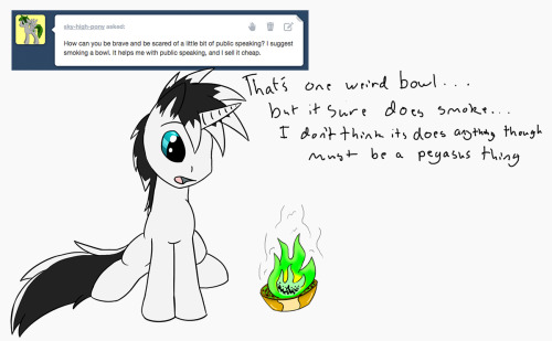 taboopony:  Last time I shop at pottery barn  XD! Silly naive pony~ <3