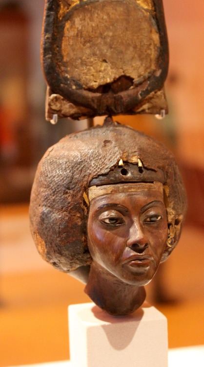 lionofchaeronea:Head of Queen Tiye, Great Royal Wife of the 18th Dynasty pharaoh Amenhotep III “the 