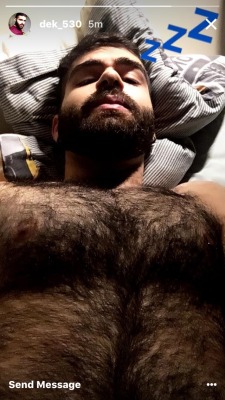 thebearunderground:  beardburnme:dek_530 Instagram Follow The Bear Underground and check archives.Posting hot hairy men since 2010 to 16,000  followers