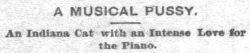 yesterdaysprint:The Daily Times, Davenport,