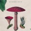 stories-aesthetics