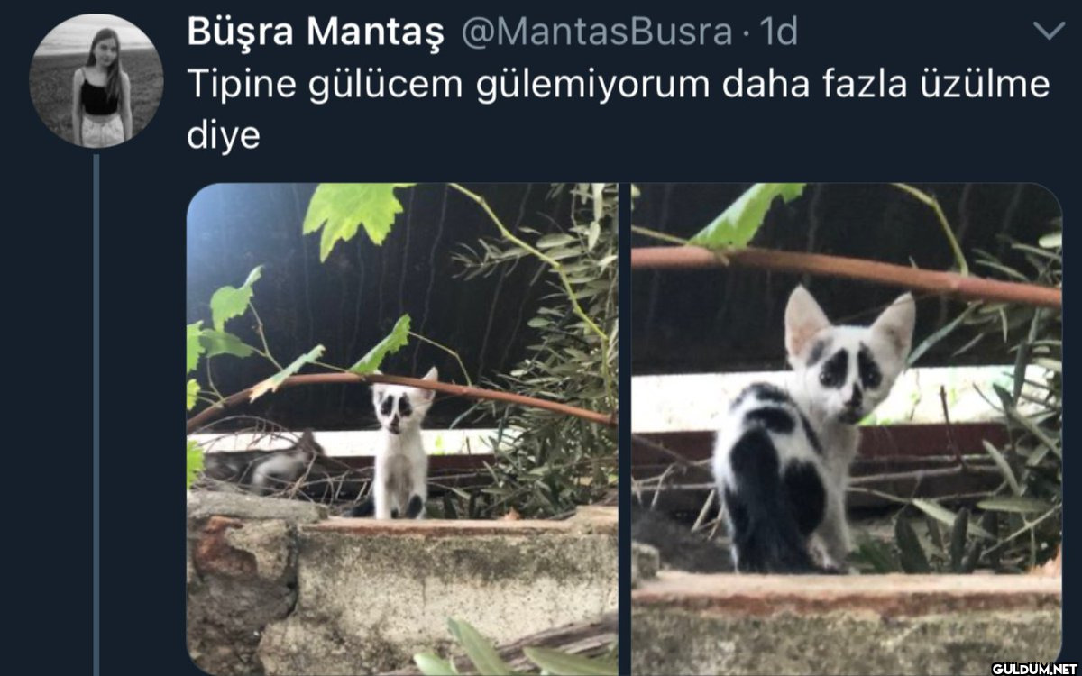 Büşra Mantaş @Mantas Busra...